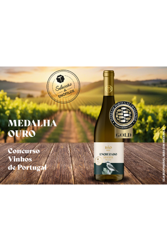 Imagem Especial Vinhos Selecção de Enófilos