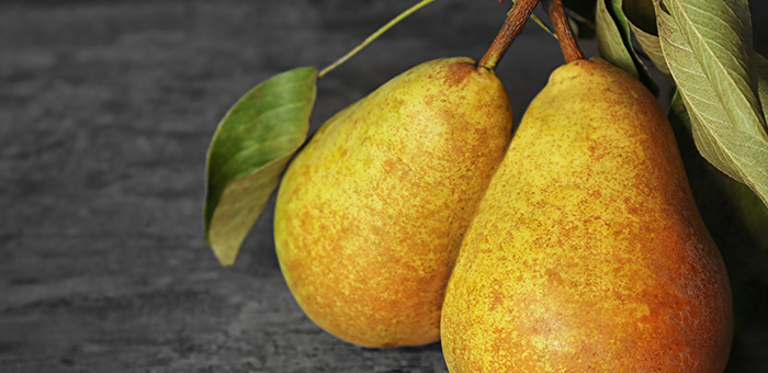 Imagem PERA ROCHA DA REGIAO OESTE